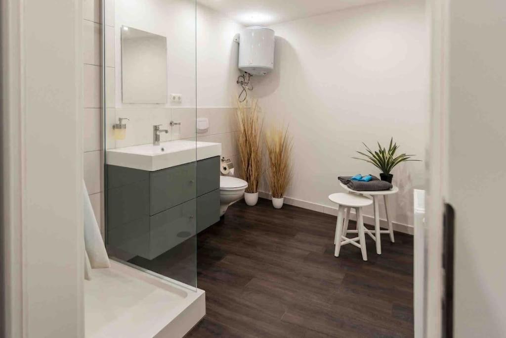Apartment Zentrales Luxury *